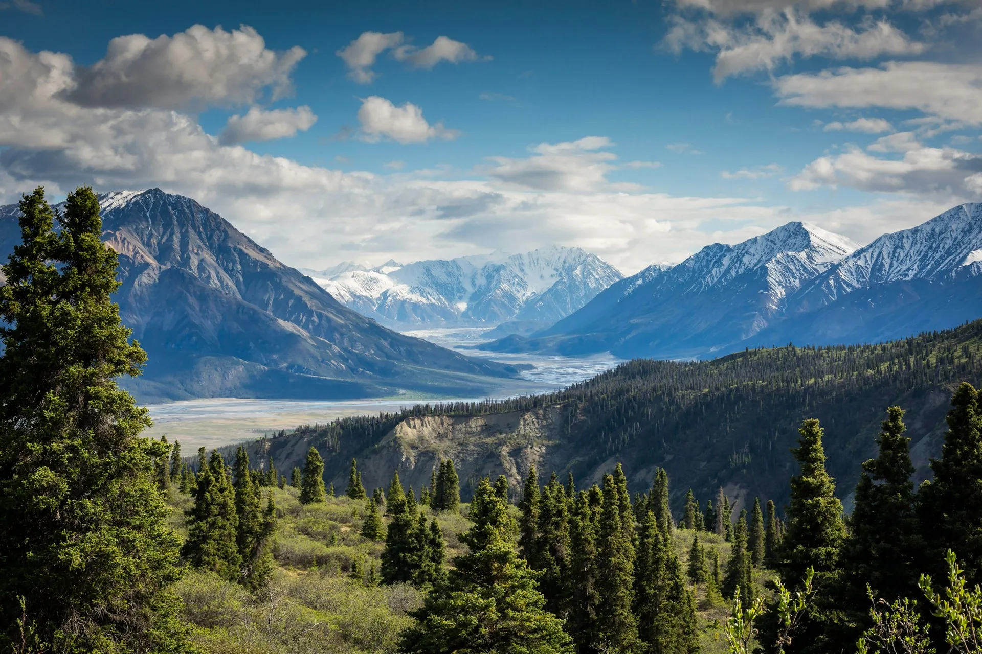 Paysage de montagne et forêt, symbole des destinations que les ambassadeurs font découvrir
